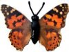 K93 Schmetterlinge mit Papierflügeln - Falter 2