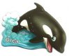 2013 Unterwasserwelt - Orca