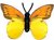 K94 Schmetterlinge mit Papierflügeln - Falter B