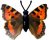 K93 Schmetterlinge mit Papierflügeln - Falter 5