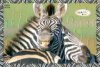 2009 Wildtier-Puzzle - Zebra mit BPZ