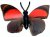 K94 Schmetterlinge mit Papierflügeln - Falter A