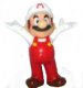 2025 Super Mario - Mario als Maler + BPZ