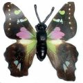 K94 Schmetterlinge mit Papierflügeln - Falter C