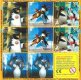 Pingui 2007 - König der Wellen - Memory 1