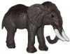 2026 Zoo - Elefant + BPZ