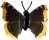 K93 Schmetterlinge mit Papierflügeln - Falter 1