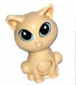 Streichel mich - Katze beige