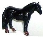 Pferd - Fjordpferd
