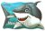 2013 Unterwasserwelt - Weißer Hai