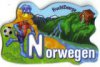 2010 Fußball WM - Norwegen