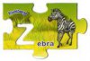 2012 Tierisch Englisch lernen - Z Zebra