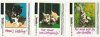 Hanuta 1988 - Kesse Kätzchen 3 Sticker