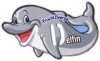 2011 Bedrohte Tiere D - Delfin