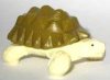 Tiere aus Afrika - Schildkröte