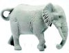 2023 Natoons - Elefant + BPZ