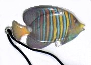 10 bunte Fische 1996 - Figur 4 - zum Schließen ins Bild klicken