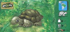 Panzertiere - BPZ Schildkröte - zum Schließen ins Bild klicken
