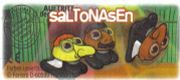 Saltonasen - BPZ 3c - zum Schließen ins Bild klicken