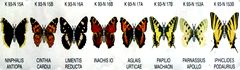 K93 Schmetterlinge mit Papierflügeln - BPZ - zum Schließen ins Bild klicken