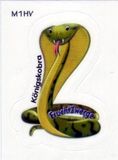 2012 Leuchtsticker - Tiere der Nacht - Kobra - zum Schließen ins Bild klicken