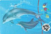 2019 Polen Unterwasserwelt - Delfine - zum Schließen ins Bild klicken