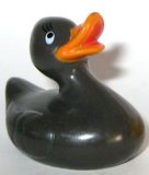 Ente schwarz - zum Schließen ins Bild klicken
