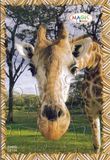 2009 Wildtier-Puzzle - Giraffe mit BPZ - zum Schließen ins Bild klicken