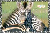 2009 Wildtier-Puzzle - Zebra mit BPZ - zum Schließen ins Bild klicken