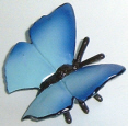 Safari - Schmetterling 1 - zum Schließen ins Bild klicken
