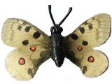 K93 Schmetterlinge mit Papierflügeln - Falter 7 - zum Schließen ins Bild klicken