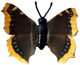 K93 Schmetterlinge mit Papierflügeln - Falter 1 - zum Schließen ins Bild klicken