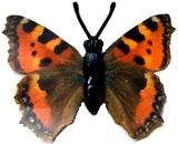 K93 Schmetterlinge mit Papierflügeln - Falter 5 - zum Schließen ins Bild klicken