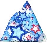 Dreieck-Flieger - blau - zum Schließen ins Bild klicken