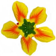 Blütenkreisel - Blüte gelb - zum Schließen ins Bild klicken