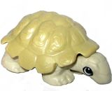 Panzertiere - Schildkröte - zum Schließen ins Bild klicken