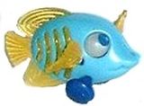 Kunterbunte Drehflossenfische - Fridolin 1 - zum Schließen ins Bild klicken