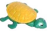 K98 Flinke Füße auf Futtersuche - Schildkröte - zum Schließen ins Bild klicken