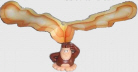 Fliegende Tiere - Affe - zum Schließen ins Bild klicken
