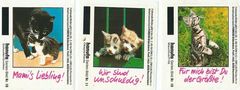 Hanuta 1988 - Kesse Kätzchen 3 Sticker - zum Schließen ins Bild klicken