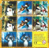 Pingui 2007 - König der Wellen - Memory 1 - zum Schließen ins Bild klicken