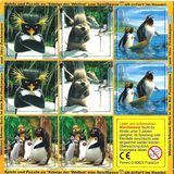 Pingui 2007 - König der Wellen - Memory 2 - zum Schließen ins Bild klicken